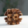 Double Lock-a-Ball Brain Teaser: Mechanical Interlocking 3D Wooden Puzzle for