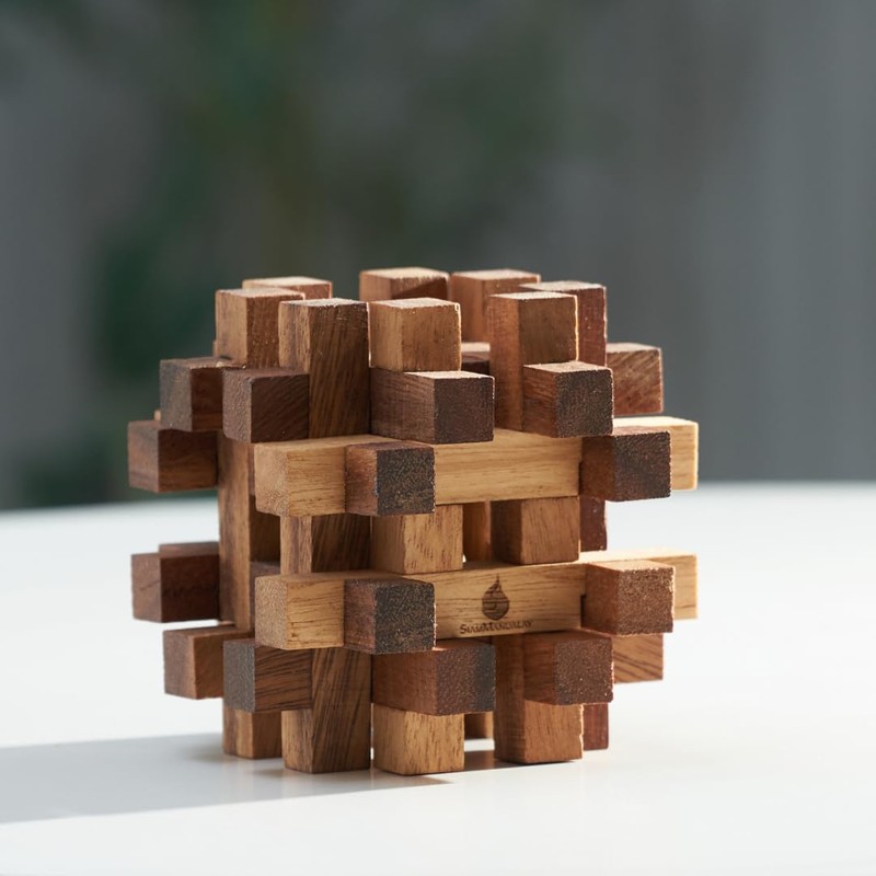 Double Lock-a-Ball Brain Teaser: Mechanical Interlocking 3D Wooden Puzzle for