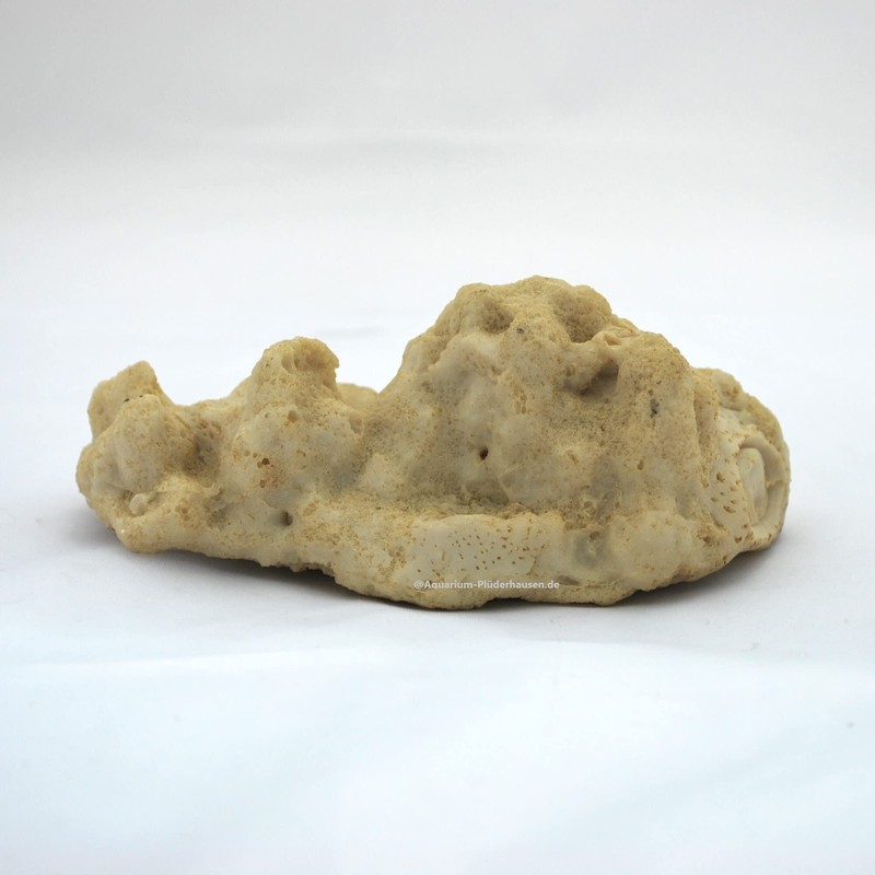 Rocks/Stone, 13.5 x 9.5 x 5.5 cm, Nano Aquarium Seawater