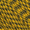 550 Paracord - 100 Feet (Goldenrod and Black)