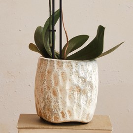 Creative Co-Op Terra-Cotta Planter with Reactive Glaze, Cream