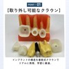 ideamall Implant Model Teeth Course Practice Model Educational Compact