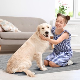 NICOLA Guinea Pig Cage Liner, Washable Reusable Guinea Pig Pee Pads,Absorbent Guinea Pig Pee Pads for Rabbits, Guinea Pigs (Light Grey, 60 * 45cm)