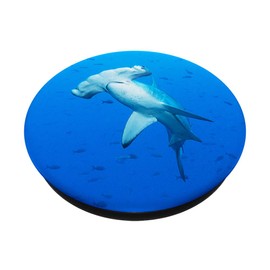 Hammer Shark in Blue Sea Ocean