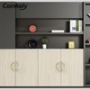 Coinkoly 10 Pack Brushed Satin Nickel and Gold Cabinet Pulls