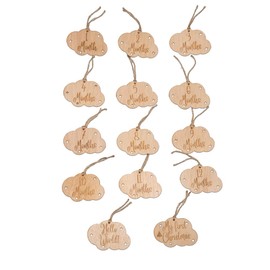 B Bachvibes Wooden Baby Monthly Milestone Plaques - Set of 14 Monthly Discs - Ideal for Newborn Photos and Baby Celebration Gift