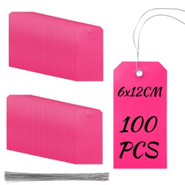 Rustark 100Pcs Pink Plastic Shipping Tags 2.36"x4.72"/6x12CM Plastic Hang Tags Waterproof Shipping Tag Writable Blank Hang Tag with Holes for Luggage Garage Inventory Car Parts