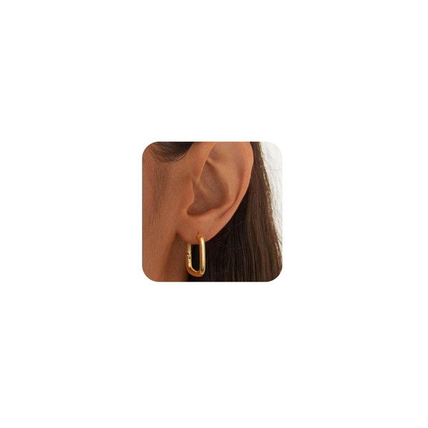 14k Gold Plated Earrings for Women Small Hoop Huggies Earrings