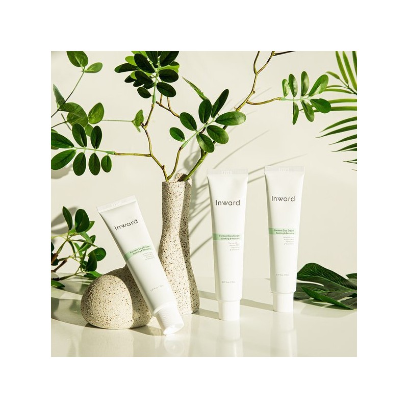 Inword 인워드 발효 시카 크림 70ml Inward Fermented Cica Cream