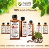Organic Castor Oil 500 ml - 100% Pure, Natural and
