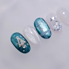 Teal Green Winter Ornament Handmade Nail Tips - Almond Long / 틸그린 윈터오너먼트 수제네일팁 - 아몬드롱