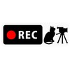Dash Cam Sticker "Cat and Video Camera" Banner Type (For