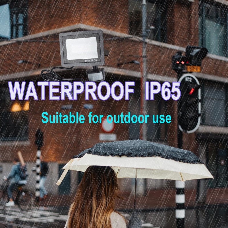 Etrogo 30 W LED Spotlight with Motion Sensor Outdoor Remote