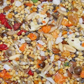 HIGGINS Sunburst FRUIT & VEGGIE Small Bird Parrot Mix Treat Canary Finch Keet  - 3 Pounds
