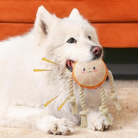 Plush Dog Toys with Squeakers,Medium Dogs Plush Toy - with Braided Rope Cute Fruit Design Interactive Dog Chewing Toys Cute Fuit Design