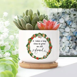 DecStic It Takes A Long Time to Grow an Old Friend Ceramic Planter Bible Verse Planters for Outdoor Plants with Drainage Holes and Saucers Pot for Indoor Outdoor Garden