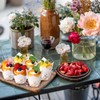 Maxdot 200 Pcs Fall Floral Tulip Cupcake Liners for Baking