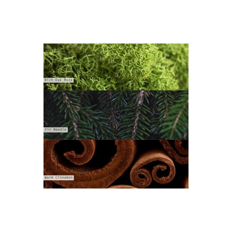 ILLUME Noble Holiday Balsam & Cedar Small Crackle Glass Candle