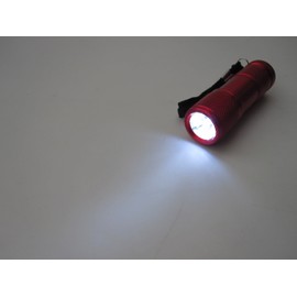 eigertool 9LED light