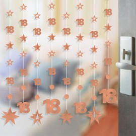 Rose Gold 18th Birthday Decorations for Girls - 8 PCS Number 18 Circle Dot 3D Star Metallic Hanging Party Streamer Happy 18 Year Old Birthday Anniversary Party Supplies Bunting Banner Backdrop
