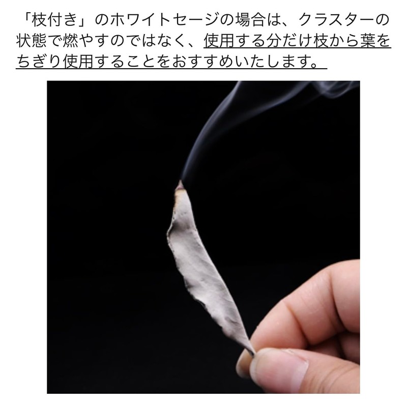 Sage White Sage Incense (Sage 1.2 oz (35 g) +