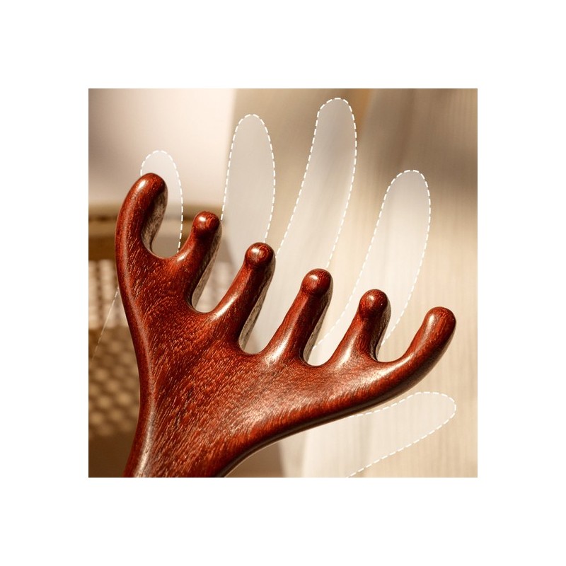 Luz Luna Rouge Luna Facial Cleansing Comb Scalp Massage Comb