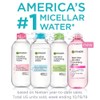 Garnier SkinActive Micellar Cleansing Water, For Waterproof Makeup, 3.4 Fl