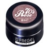 Prigel Gel Nail Color EX Seventees Rose 847 Color Gel
