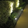 Long Life Lamp Company Compact 10w Outdoor LED Flood Light