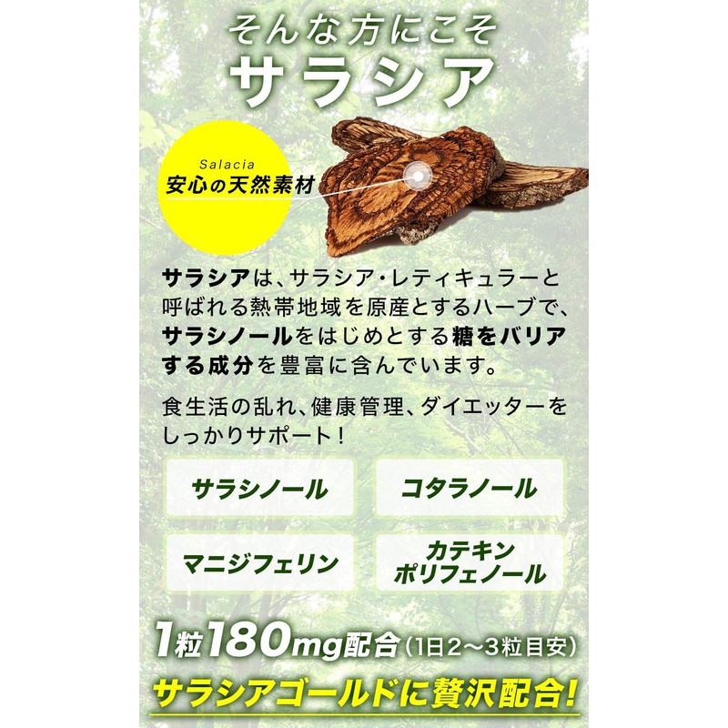 Salacia Gold Curcumin Turmeric Chrysanthemum Potato Chitosan Dextrin Supplement Salasia