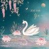 Piccadilly Greetings Just for You Blank Card Swan - 160