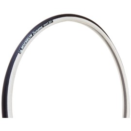 MICHELIN Dynamic Sport Tire