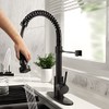 Black Kitchen Faucet with Pull Down Sprayer, High Arc Spring