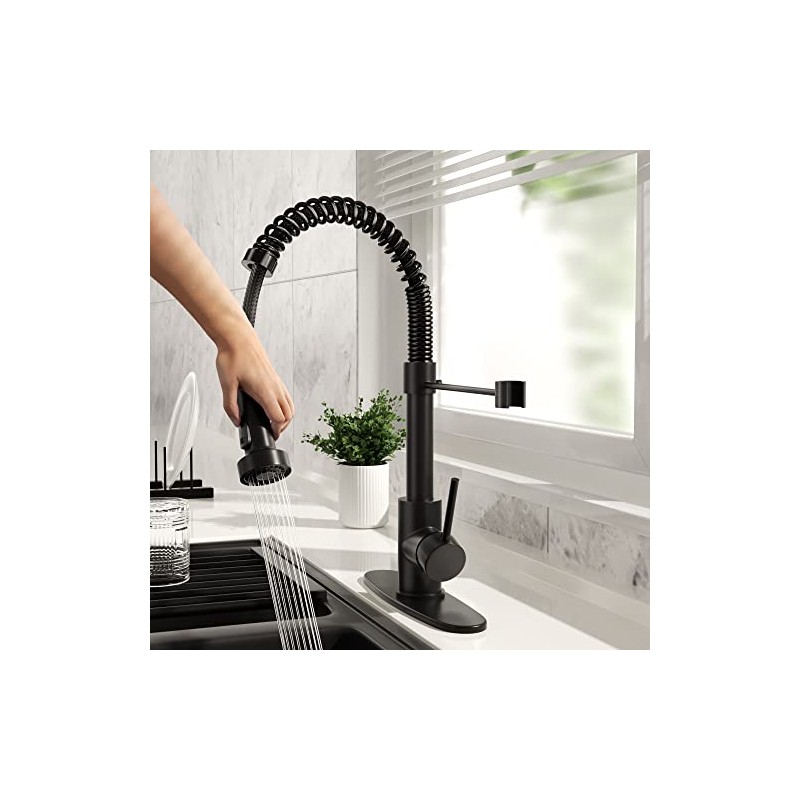 Black Kitchen Faucet with Pull Down Sprayer, High Arc Spring