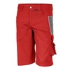 Qualitex PRO MG 245 Shorts in Various Colours - 52