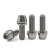 4Pcs Titanium Bike Bolts, M6x18mm 20mm Hex Tapered Head for