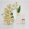 Pitover Effect Nail Guard Healthy Nail Habit Nail Habit, 8ml,