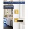 Gold Door Handle 1 Pcs, Privacy Door Levers with Black