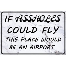 Funny Sarcastic Bar Metal Signs Garage Tin Sign Man Cave Signs Humor Office Cubicle Wall Decor If Assholes Could Fly This Place Would Be An Airport Home Decorations 12" X 8"