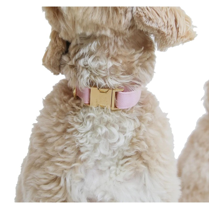Adjustable Cotton Dog Collar, Soft Fabric Dog Collar with Metal