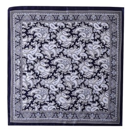JWSilk 100% Silk Neckerchief Small Square Silk Scarf (Navy Paisley)