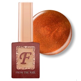 From the Nail Deep Sea Single Item FG140 Magnetic Gel / 프롬더네일 딥씨 단품 FG140 자석젤