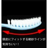 Kinugawa Company W Hair! Shampoo & Treatment Scalp Brush ShamP