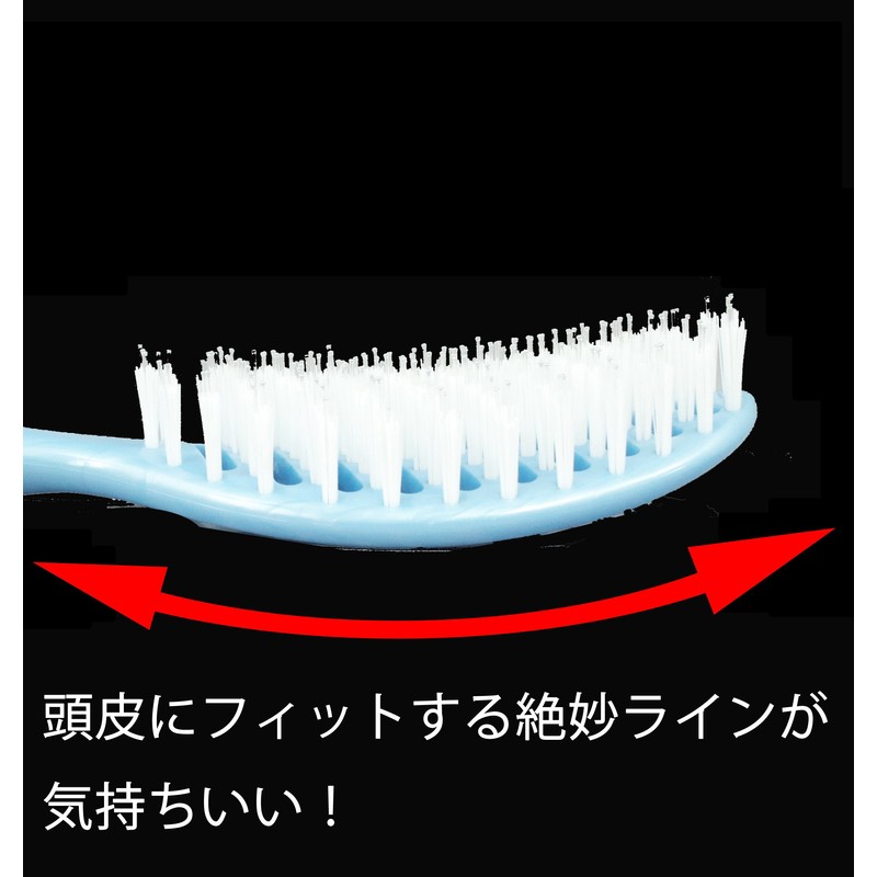 Kinugawa Company W Hair! Shampoo & Treatment Scalp Brush ShamP