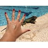 Dizao Gold Tattoo. PRINCESS. Flash Jewels. Metallic Temporary Gold Silver