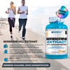 Berberine - 1500 mg High Dose - 97% Concentration -