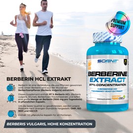 Berberine - 1500 mg High Dose - 97% Concentration - 120 Vegan Capsules - Berberine Capsules - Berberine HCL - Berberine Capsules High Dose - Root Extract from the Plant Berberis aristata