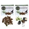 TRUMIRI Eucalyptus Backflow Incense Cones - Total 20 Incense Cones