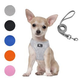 Puppy Harness and Leash Set - Dog Vest Harness for Small Dogs Medium Dogs- Adjustable Reflective Step in Harness for Dogs - Soft Mesh Comfort Fit No Pull No Choke (XS, Grey)