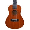 Kadence Concert Ukulele 23" Spring Summer Collection of Ukuleles- Matt